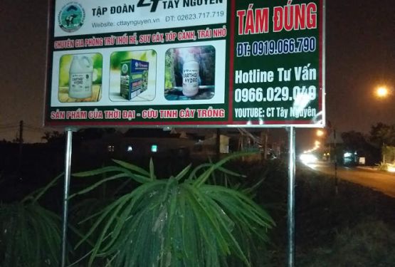 Tám Đúng