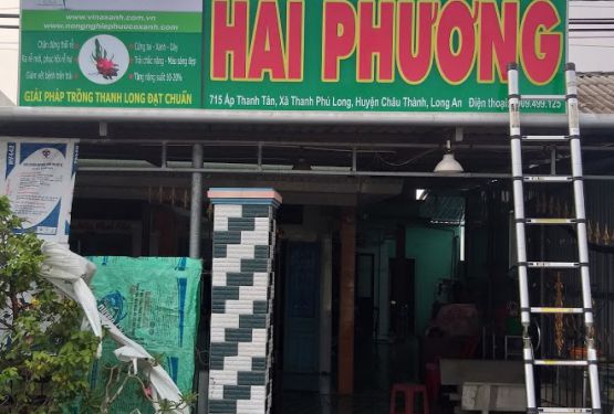 Hai Phương